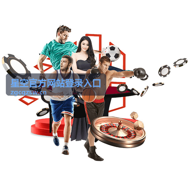 星空官方网站登录入口不同角色使用建议示意