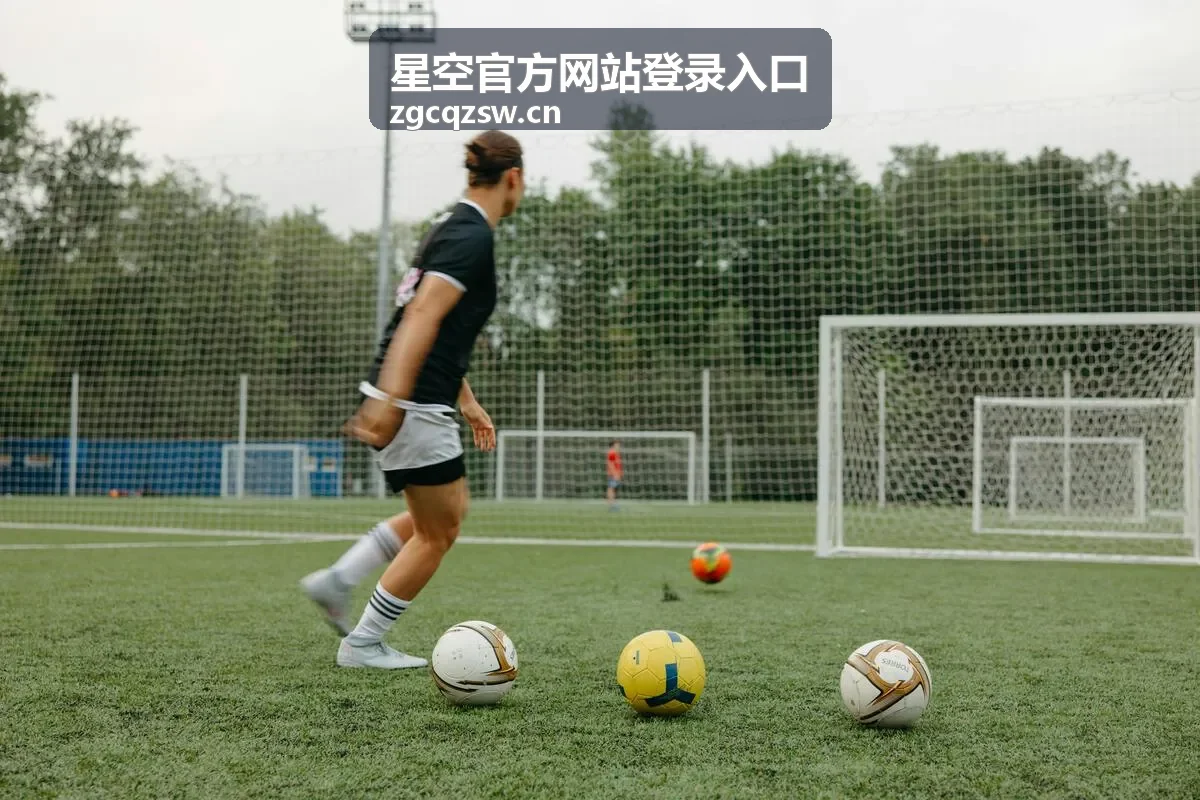 星空官方网站登录入口账号长期维护场景示意